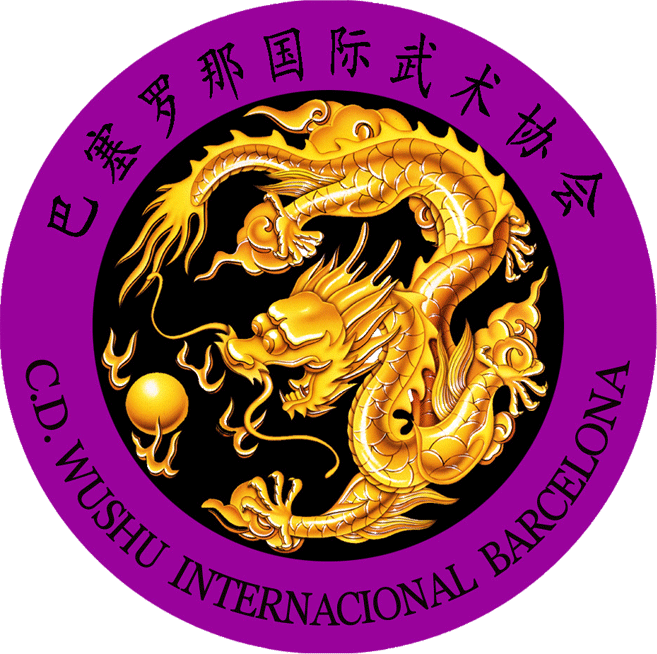 Kung Fu Wushu Instituto de Artes Marciales Chinas