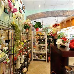 Visita virtual Floristeria Pètals Torredembarra