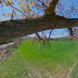Visita virtual Camino del puente de San Miguel Jaca