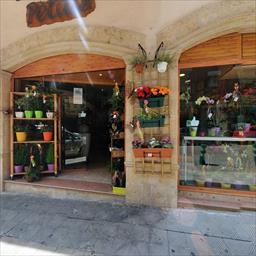 Visita virtual Floristeria Pètals Torredembarra
