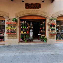 Visita virtual Floristeria Pètals Torredembarra